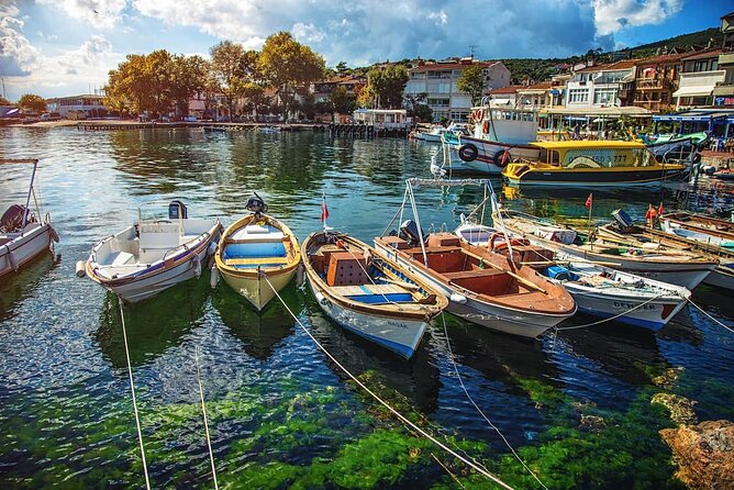 Full Day Big Island Tour in Istanbul With Lunch - Istanbuls Big Island
