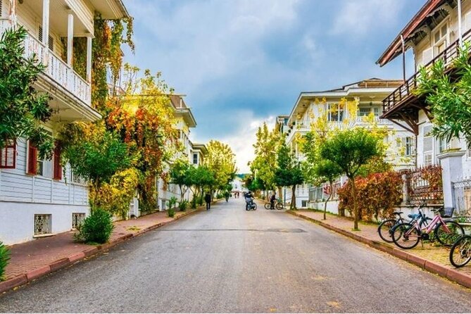 Full Day Big Island Tour in Istanbul With Lunch - Exploring the Island
