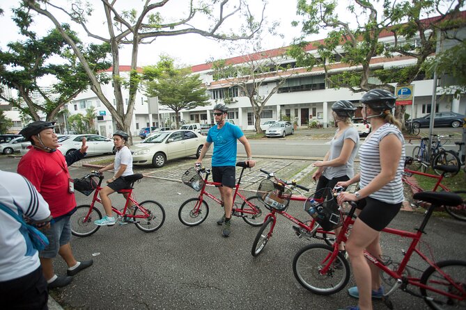 Full-Day Bike and Food Tour of Singapore - Food Tour Experience