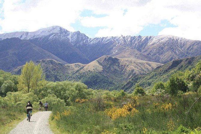 Full Day Bike Hire From Arrowtown - Accessibility and Additional Information