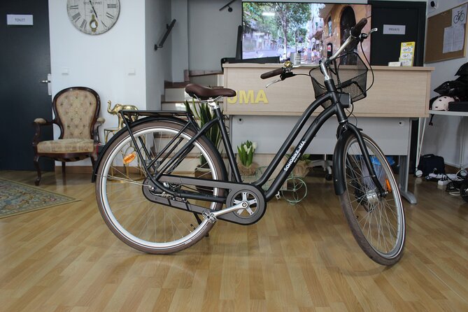 Full Day Bike Rental in Malaga - Accessibility and Physical Requirements