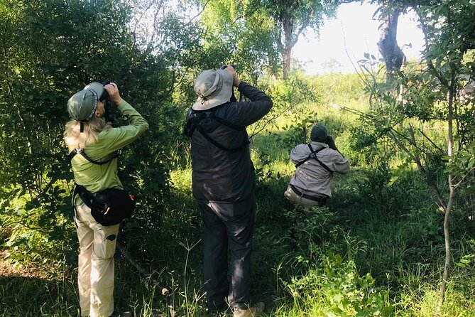 Full Day Birding Zambezi National Park Includes Picnic Lunch - About Your Stay