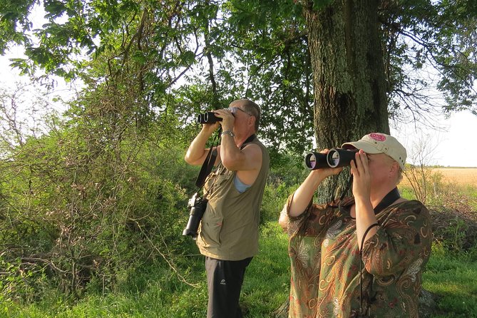 Full Day Birdwatching and Nature Tour - Tour Details