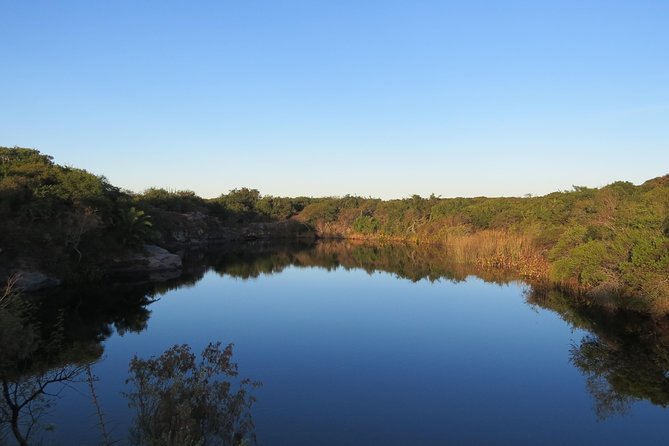 Full Day Birdwatching and Nature Tour - Traveler Reviews