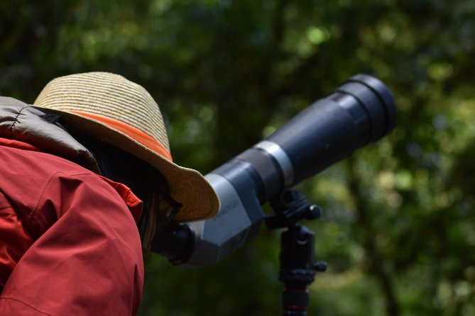 Full Day Birdwatching Experience - Accessibility and Physical Fitness