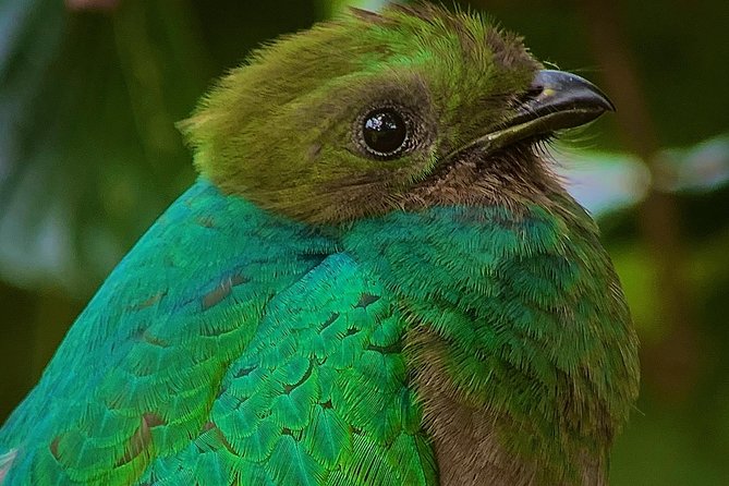 Full Day Birdwatching Experience - Positive Client Feedback