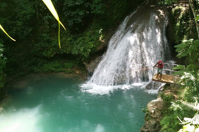 Full-Day Blue Hole and Zipline Private Tour From Falmouth - Dining Opportunities