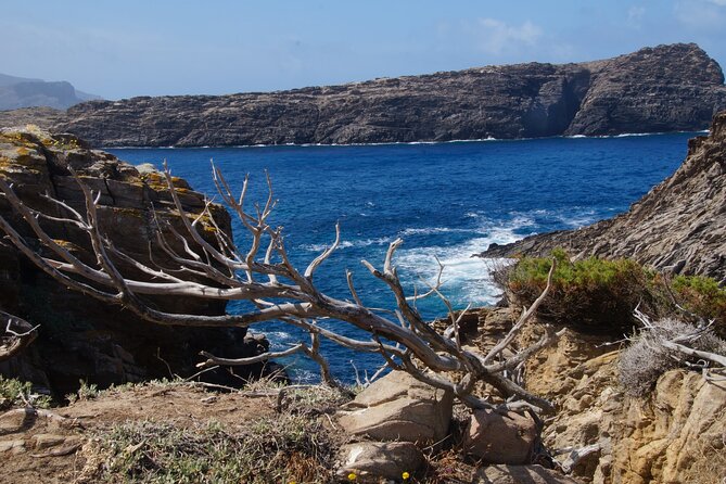 Full-Day Boat Guided Trip to Asinara With Van Pickup and Lunch - Boat and Onboard Amenities