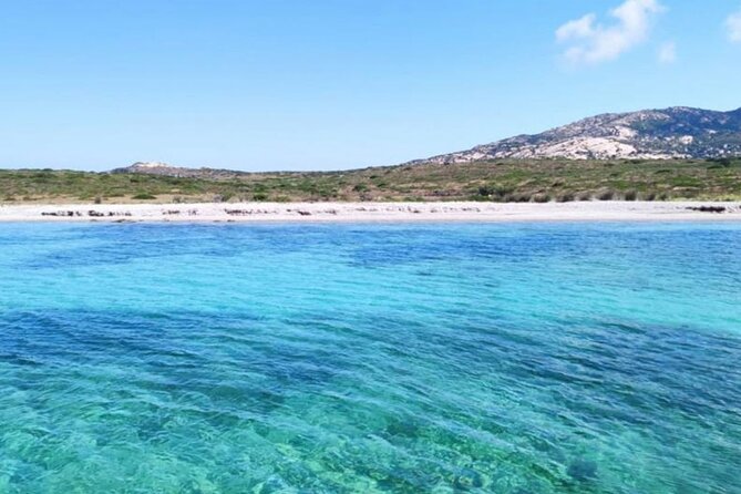Full-Day Boat Guided Trip to Asinara With Van Pickup and Lunch - Accessibility and Group Size