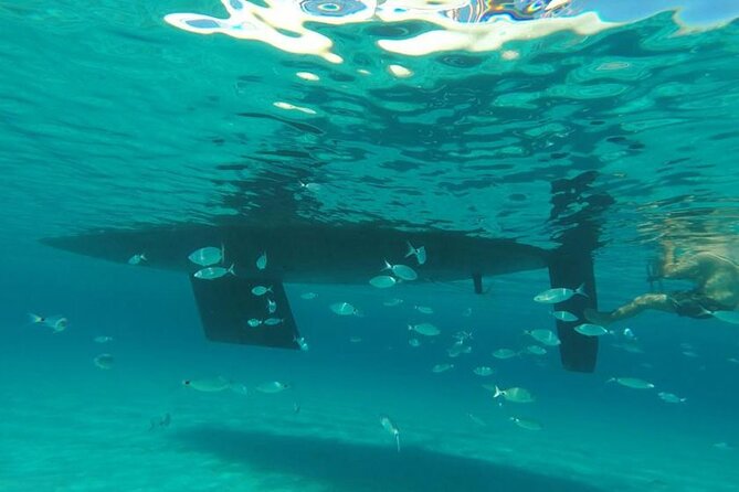 Full-Day Boat Guided Trip to Asinara With Van Pickup and Lunch - Booking Details and Policies