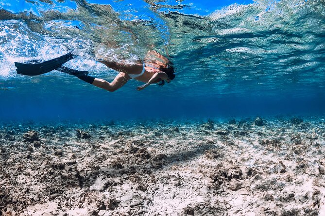 Full Day Boat Tour, Blue Lagoon and ŠOlta With Lunch&Drinks - Frequently Asked Questions