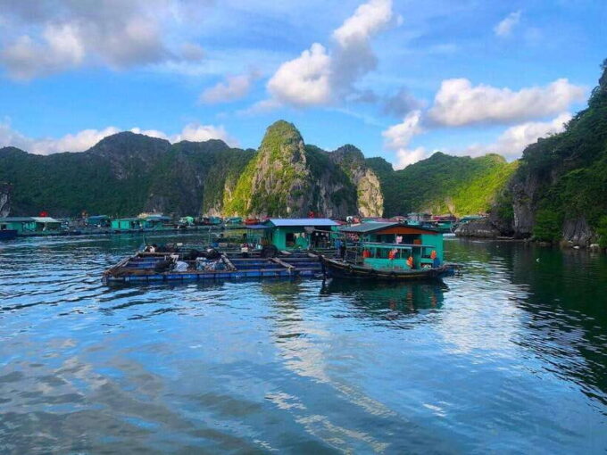 Full Day Boat Tour Explore Cat Ba Archipelago & Lan Ha Bay - Discovering Lan Ha Bay