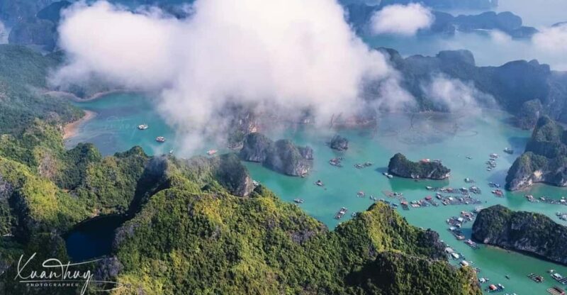 Full Day Boat Tour in Cat Ba Archipelago & Lan Ha Bay - Included Services