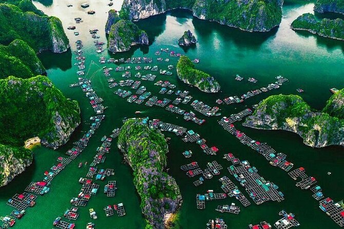 Full Day Boat Tour in Halong Bay, Cat Ba Archipelago & Lan Ha Bay - Additional Considerations