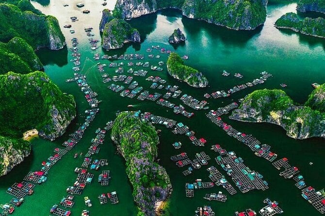 Full Day Boat Tour in Halong Bay, Cat Ba Archipelago & Lan Ha Bay - Confirmation and Booking