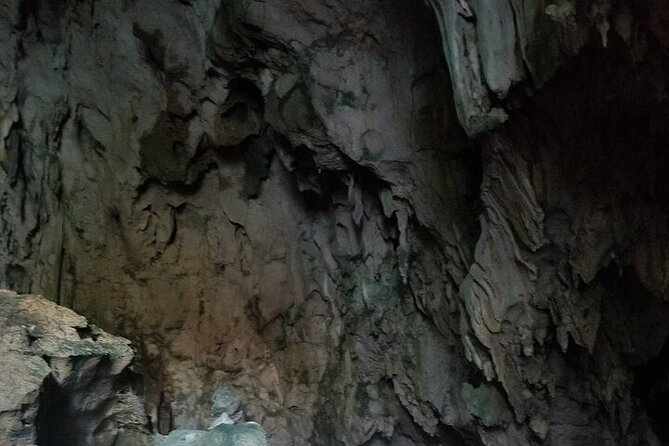 Full-Day Boat Tour of Los Haitises National Park - Tour Overview