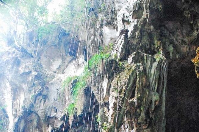 Full-Day Boat Tour of Los Haitises National Park - Tour Schedule and Details
