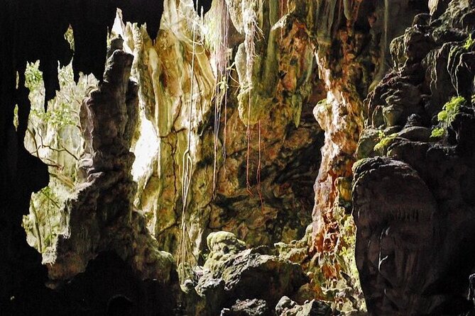 Full-Day Boat Tour of Los Haitises National Park - What to Expect