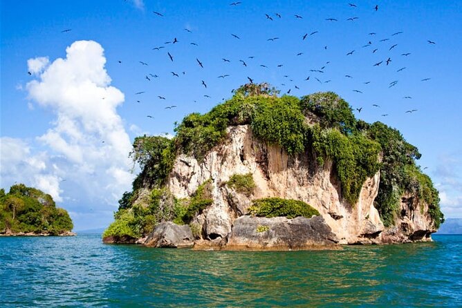 Full-Day Boat Tour of Los Haitises National Park - Accessibility and Group Size
