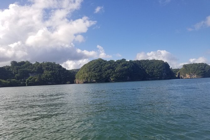 Full-Day Boat Tour of Los Haitises National Park - Customer Feedback