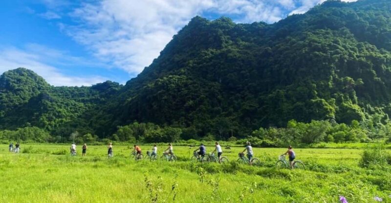Full-Day Boat Tour to Lan Ha Bay With Lunch, Kayaking-Biking - Included Activities