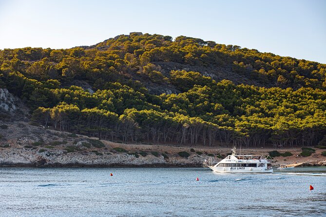 Full Day Boat Tour to the Egadi Islands - Exploration of Egadi Islands