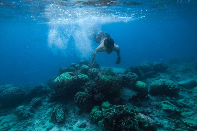 Full-Day Boat Trip in Hurghada With Snorkeling and Lunch - Snorkeling and Scuba Diving Experience