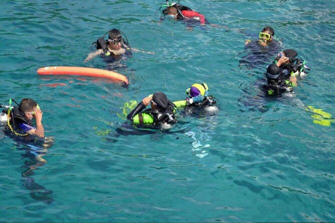 Full Day Boat Trip to Dolphins House With Lunch in Hurghada - Maximum Participants