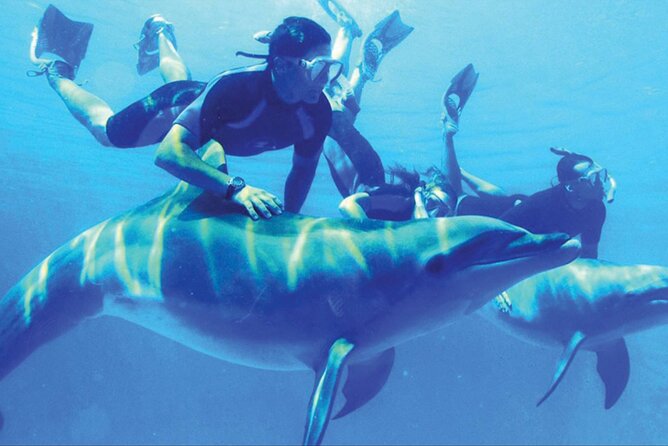 Full Day Boat Trip to Dolphins House With Lunch in Hurghada - Accessibility