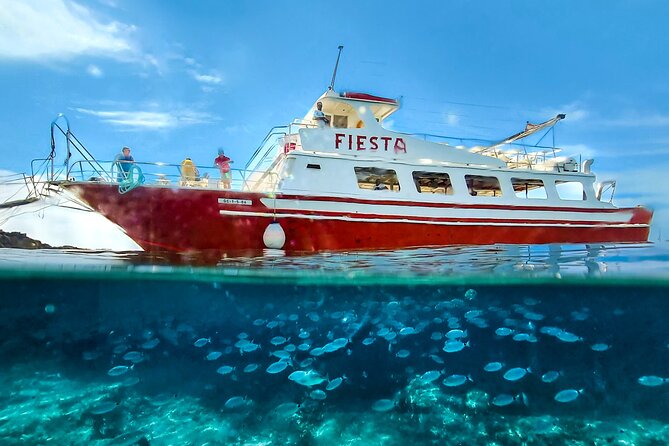 Full Day Boat Trip With Lunch - Accessibility and Accommodations