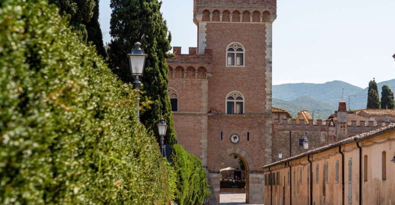 Full Day Bolgheri Tuscan Private Tour From Florence - Key Points