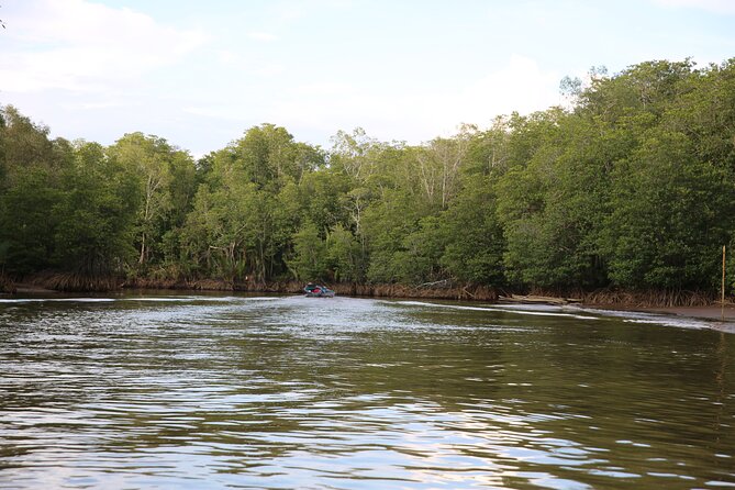 Full Day Bongawan River Cruise With Proboscis Monkey Sightseeing - Traveler Experiences