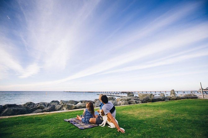 Full-Day Boutique Wine Tour With Pick up and Lunch - Gourmet Dining