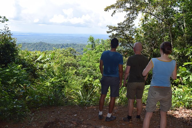 Full-Day Brownsberg Nature Park Tour - Transport and Logistics