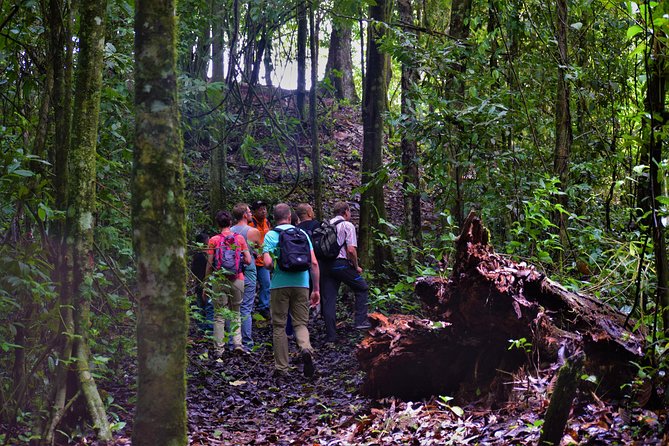 Full-Day Brownsberg Nature Park Tour - Accessibility and Safety