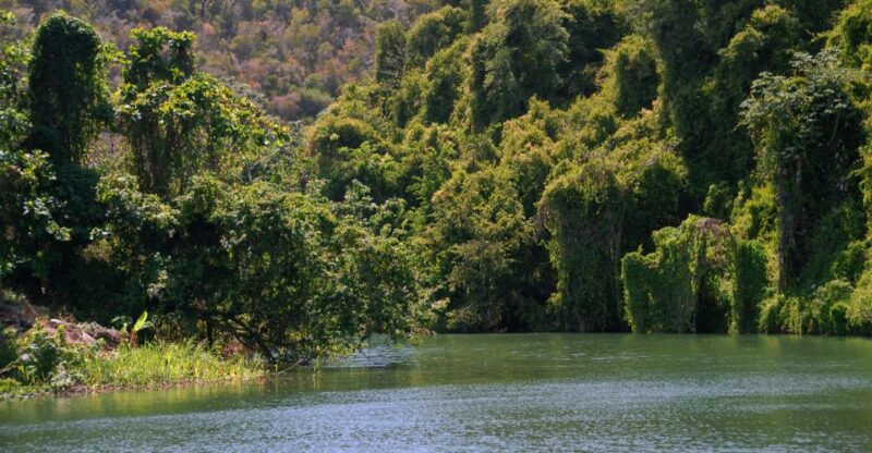 Full Day Buggy Safari With Lunch and Chavon River Tour - Itinerary and Experience