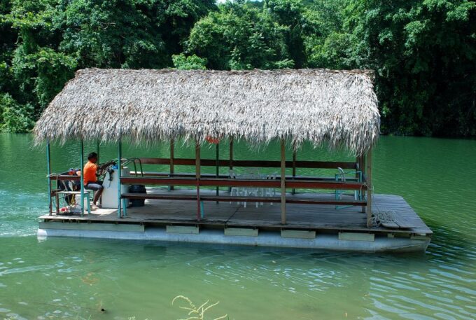 Full Day Buggy Safari With Lunch and Chavon River Tour - Buggy Safety and Precautions