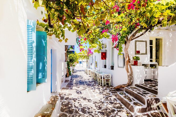 Full Day Bus Tour in Paros and Antiparos Islands From Paros - Customer Feedback