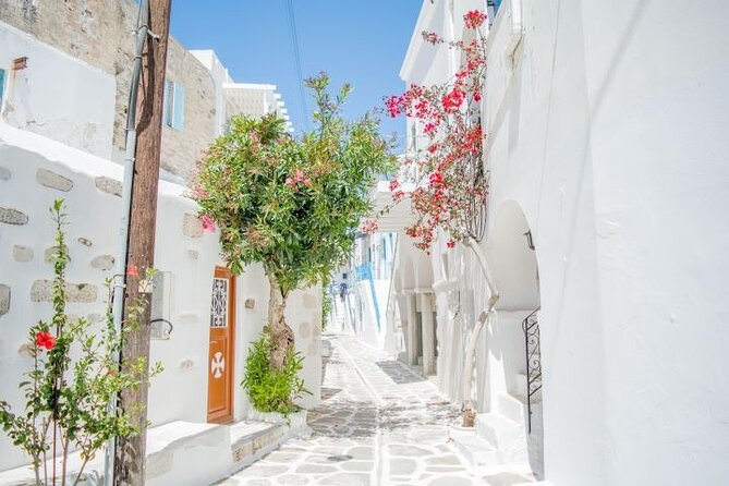 Full Day Bus Tour in Paros and Antiparos Islands From Paros - Positive Experiences