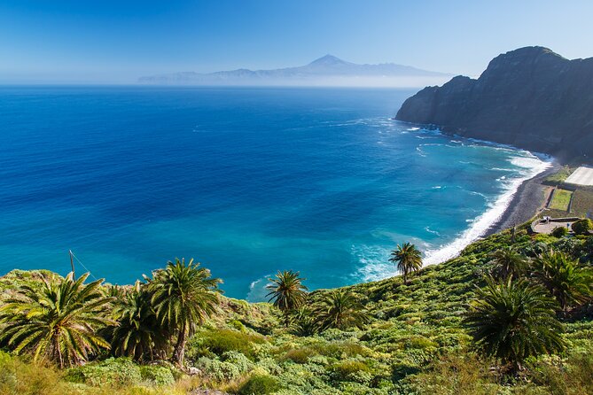 Full-Day Bus Tour to La Gomera Island With Professional Guide - Lunch Included - Key Points