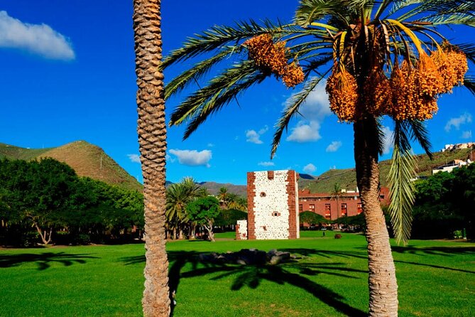 Full-Day Bus Tour to La Gomera Island With Professional Guide - Lunch Included - Highlights of the Itinerary