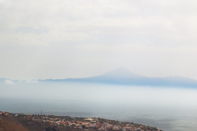 Full-Day Bus Tour to La Gomera Island With Professional Guide - Lunch Included - Tour Accessibility Information