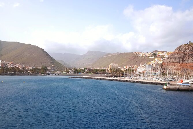 Full-Day Bus Tour to La Gomera Island With Professional Guide - Lunch Included - Additional Tour Information