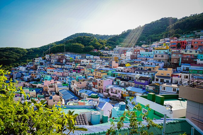 Full Day Busan and Gyeongju Guided Tour - Tour Schedule and Itinerary