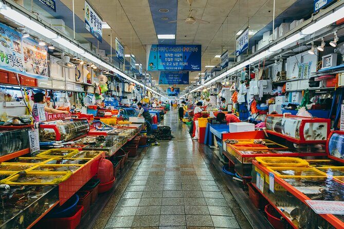 Full-Day Busan Highlights Private Guided Tour - The Sum Up