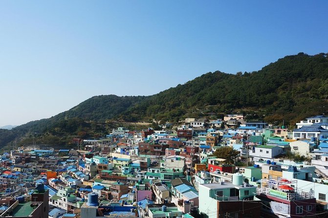 Full- Day Busan Private Tour - Key Points