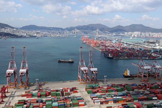 Full- Day Busan Private Tour - Reviews and Feedback