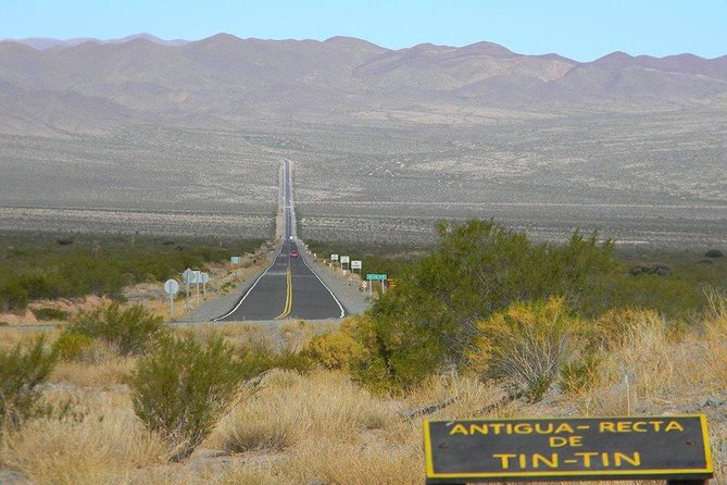 Full-Day Cachi and Los Cardones National Park From Salta - Scenic Views and Landscapes