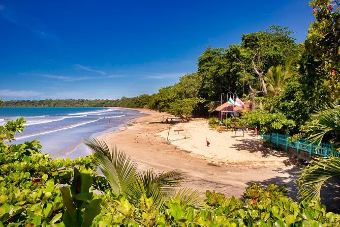 Full Day Cahuita Snorkel and Sloth Sanctuary From Puerto Viejo De Limón - Guest Reviews