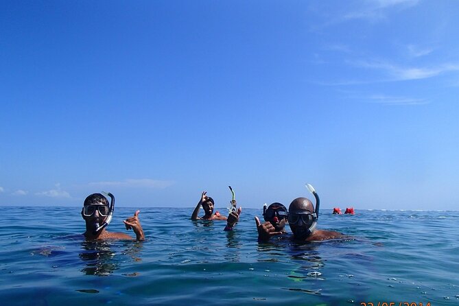 Full Day Cahuita Snorkel and Sloth Sanctuary From Puerto Viejo De Limón - Key Points